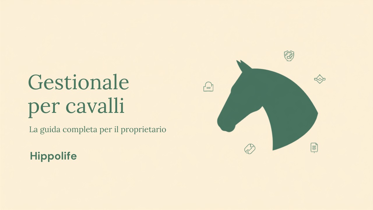 Hippolife horse management software: the complete guide for owners