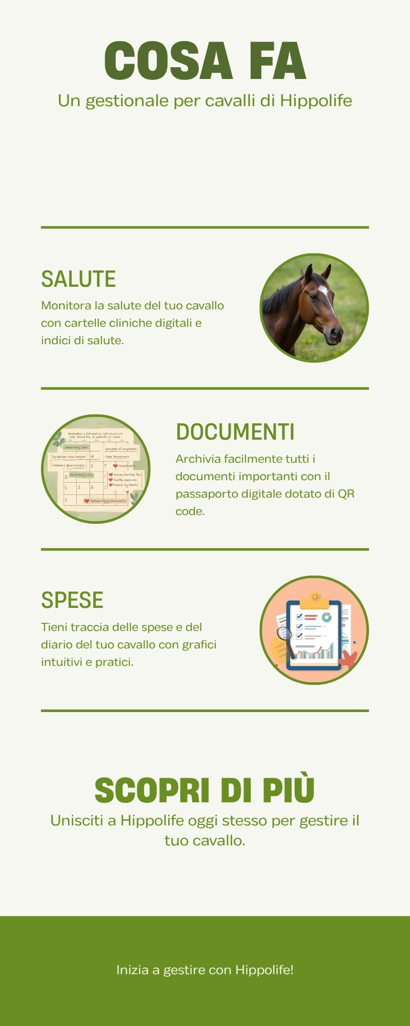 The areas of a horse care schedule: health, documents and expenses