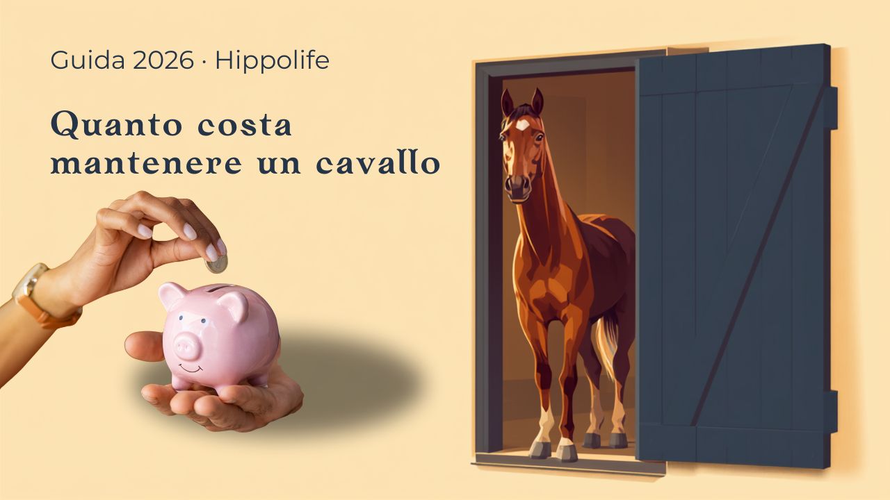 How much does it cost to own a horse: the owner's monthly and yearly expenses